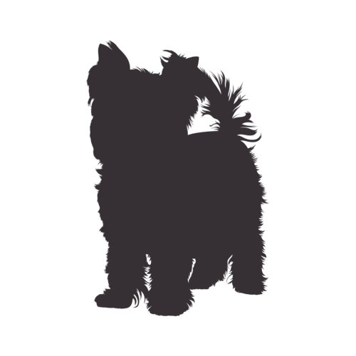Silueta de perro Yorkshire Terrier de pie