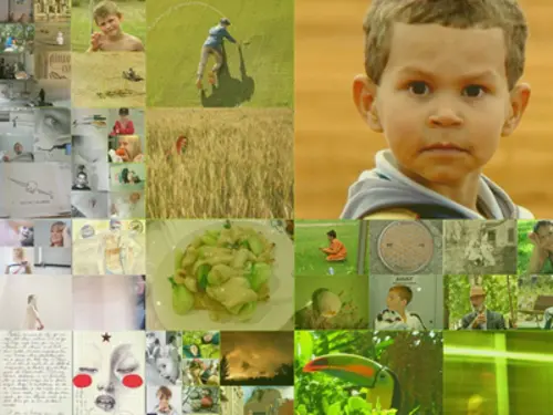 Detalle Mosaico: piezas más pequeñas en las zonas de mayor contraste